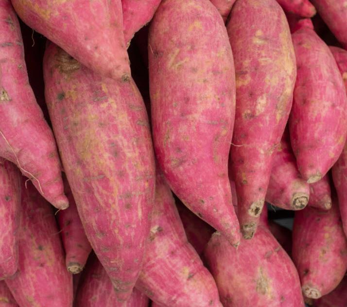 RED POTATOES  Starcrest Farm