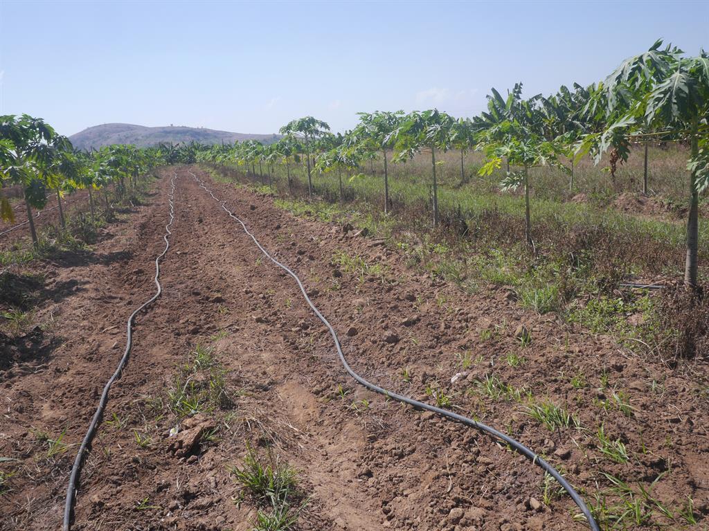 open filed irrigation dripping system 